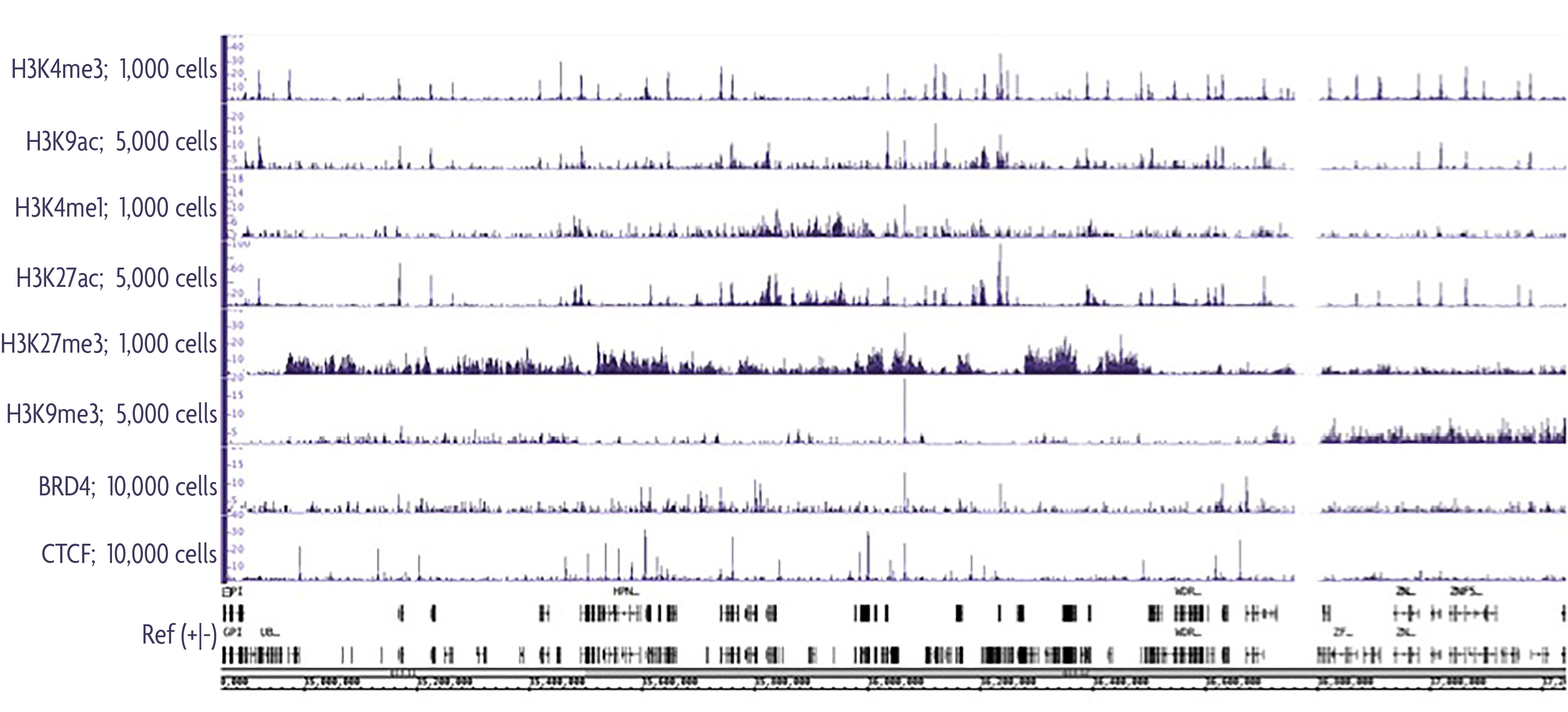 Histone H3 PTM Multiplex Data of Histone Abundance in Mouse Tissue.
